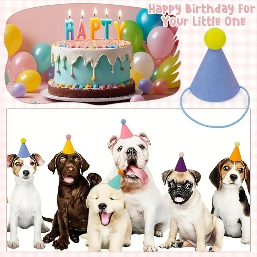 Yeni 6 Parça Set Mini Parti Şa - Party Hat Cone incelemesi ve fiyatı